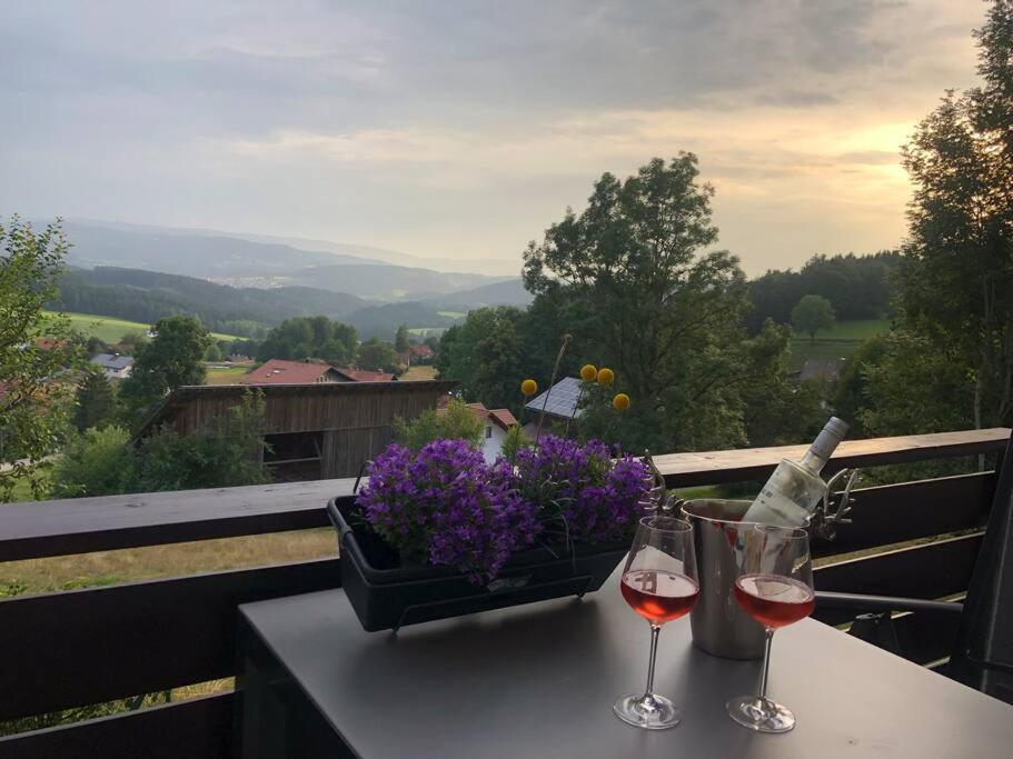 Apartment Taelerblick Maxi -Neu Modernisiert- Böbrach Exteriör bild